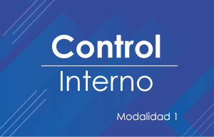 Curso Control Interno - Modalidad 1